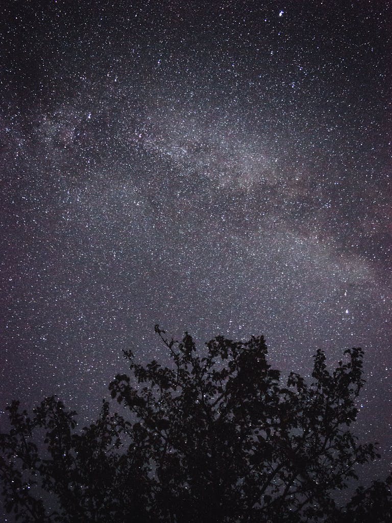 A breathtaking view of the starry night sky featuring the Milky Way galaxy over silhouetted trees.
